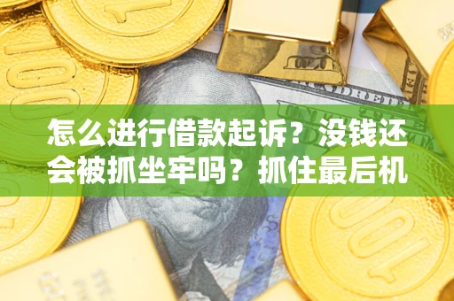 济南怎么进行借款起诉？没钱还会被抓坐牢吗？抓住最后机会！