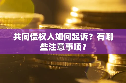 济南共同债权人如何起诉？有哪些注意事项？